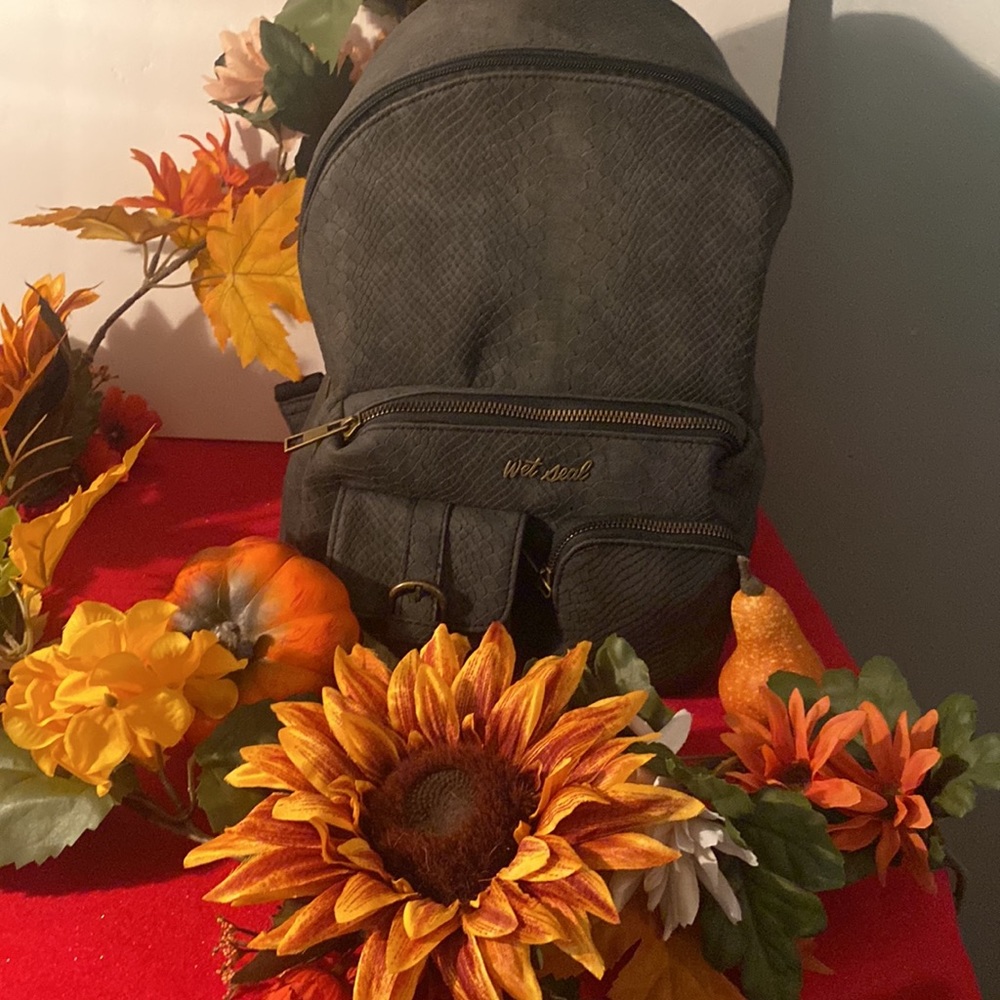 Back Pack Purse